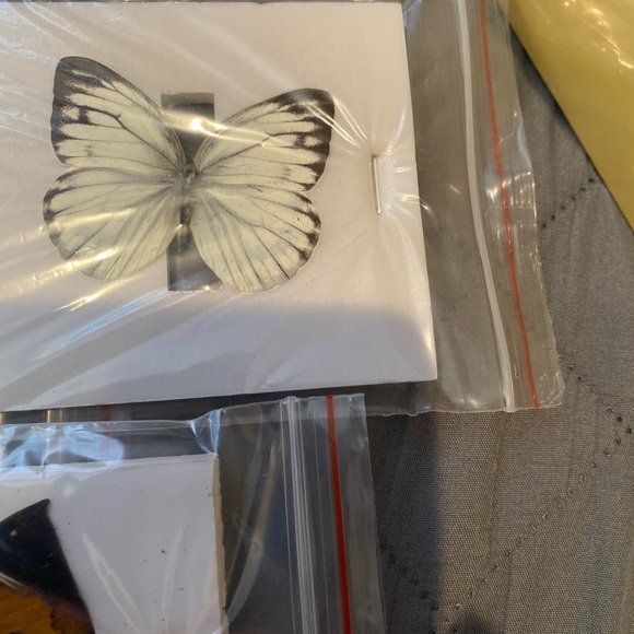 9 natural unmounted taxidermy butterflies - Picture 10 of 12
